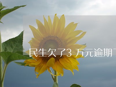 民生欠了3万元逾期了 民生欠了3万元逾期了