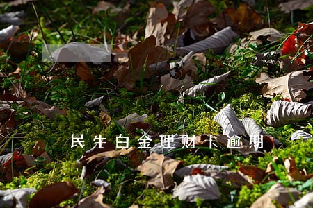 民生白金理财卡逾期 民生白金理财卡逾期