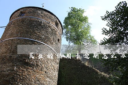 民生的信用卡逾期怎么办
