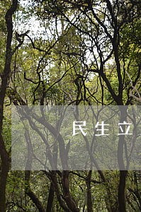 民生立法的宪法原则