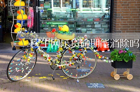 民生网乐贷逾期能消除吗 民生网乐贷逾期能消除吗