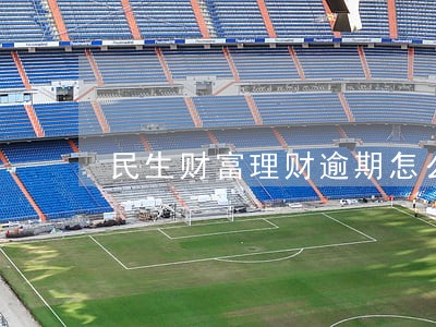 民生财富理财逾期怎么办 民生财富理财逾期怎么办