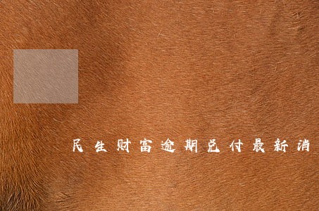 民生财富逾期兑付最新消息 民生财富逾期兑付最新消息