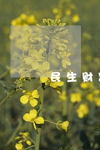 民生财富逾期多少金额 民生财富逾期多少金额