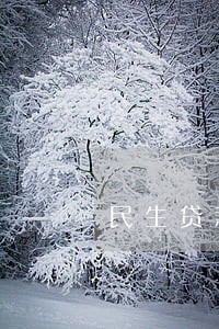 民生贷款逾期一天上征信吗 民生贷款逾期一天上征信吗