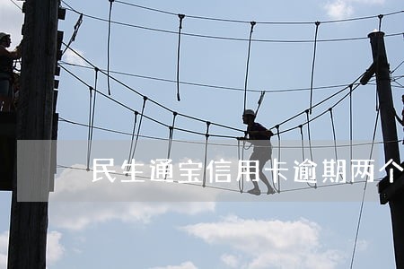 民生通宝信用卡逾期两个月 民生通宝信用卡逾期两个月
