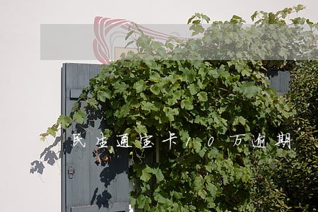 民生通宝卡10万逾期 民生通宝卡10万逾期