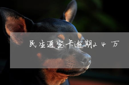民生通宝卡逾期24万 民生通宝卡逾期24万