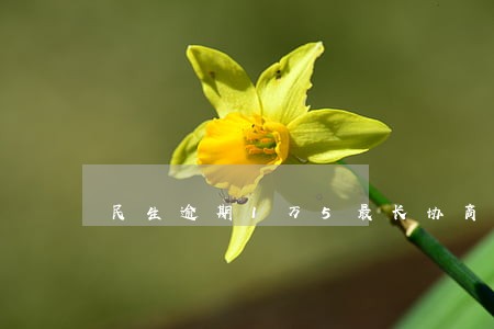 民生逾期1万5最长协商多少天 民生逾期1万5最长协商多少天