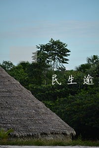 民生逾期20万怎么办 民生逾期20万怎么办