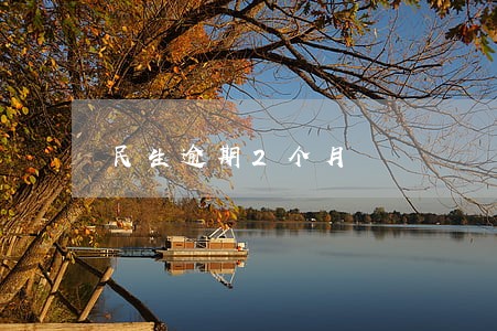 民生逾期2个月 民生逾期2个月