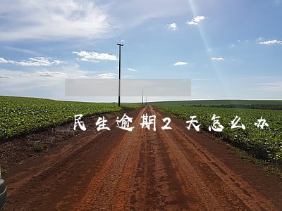 民生逾期2天怎么办 民生逾期2天怎么办