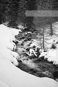 民生逾期2天还进去学为0 民生逾期2天还进去学为0