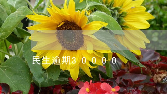 民生逾期30000 民生逾期30000