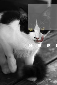 民生逾期3W利息 民生逾期3W利息
