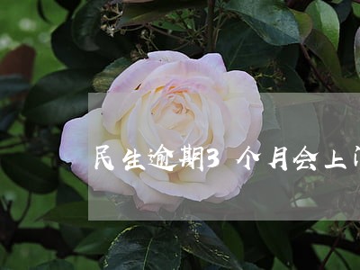 民生逾期3个月会上门吗 民生逾期3个月会上门吗
