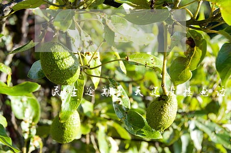 民生逾期3天还没接电话 民生逾期3天还没接电话