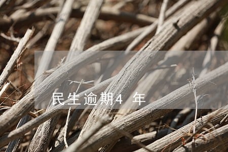 民生逾期4年 民生逾期4年