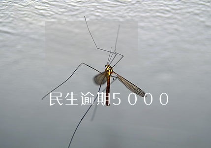 民生逾期5000 民生逾期5000