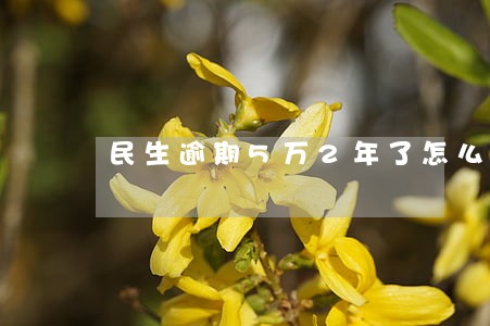 民生逾期5万2年了怎么协商 民生逾期5万2年了怎么协商