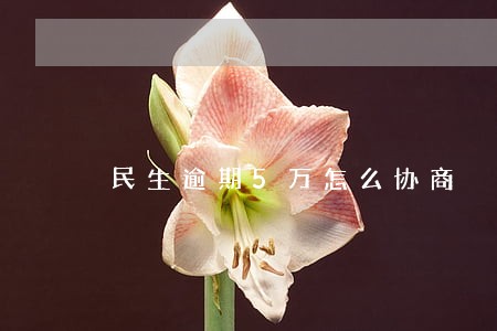 民生逾期5万怎么协商