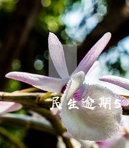 民生逾期5个月 民生逾期5个月