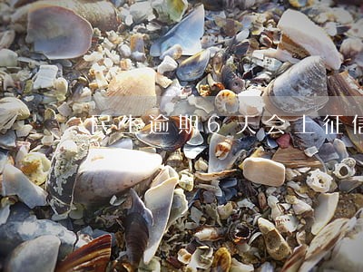 民生逾期6天会上征信吗 民生逾期6天会上征信吗