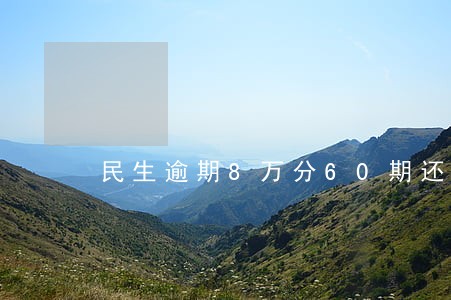 民生逾期8万分60期还10万 民生逾期8万分60期还10万