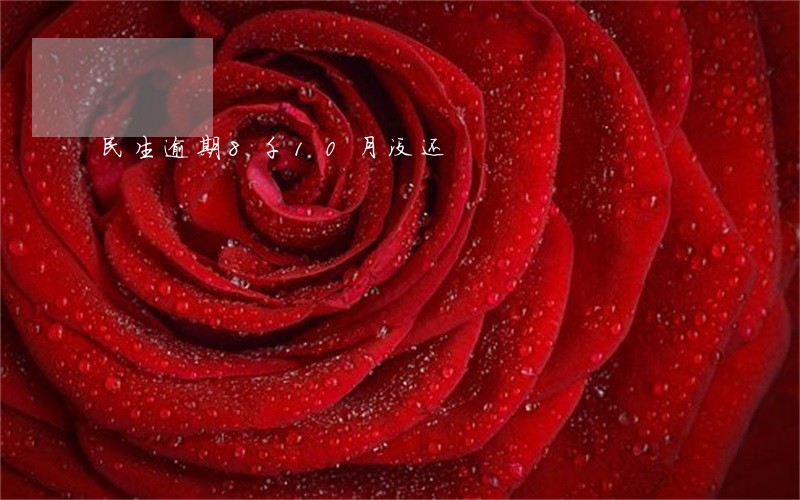 民生逾期8千10月没还