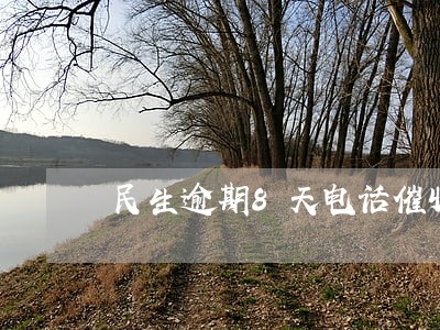 民生逾期8天电话催收028
