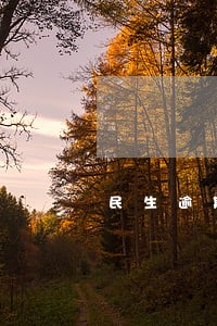 民生逾期8年 民生逾期8年