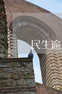 民生逾期后办36期分期靠谱吗 民生逾期后办36期分期靠谱吗