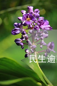 民生逾期开卡10个工作日 民生逾期开卡10个工作日