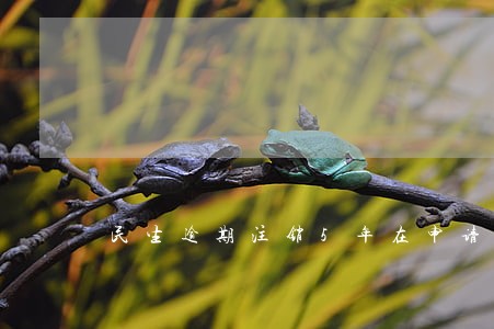 民生逾期注销5年在申请能通过吗 民生逾期注销5年在申请能通过吗