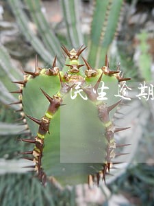 民生逾期让去信用卡中心 民生逾期让去信用卡中心
