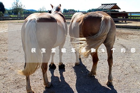 民生金租车逾期3个月回收车吗 民生金租车逾期3个月回收车吗