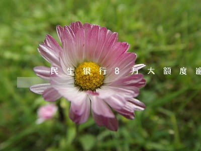 民生银行8万大额度逾期
