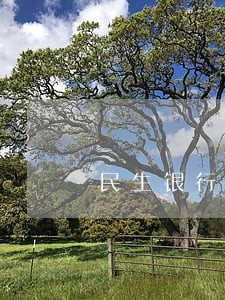 民生银行不还利息只还本金 民生银行不还利息只还本金