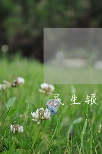 民生银行两万逾期 民生银行两万逾期
