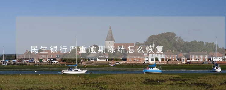 民生银行严重逾期冻结怎么恢复 民生银行严重逾期冻结怎么恢复