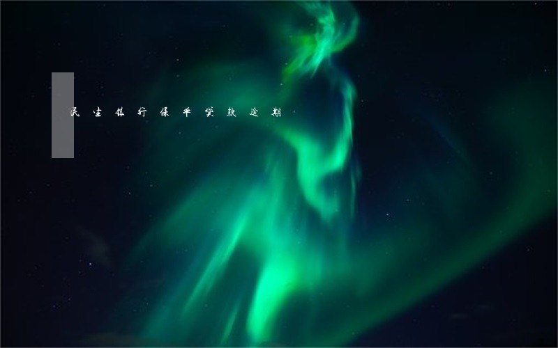 民生银行保单贷款逾期 民生银行保单贷款逾期