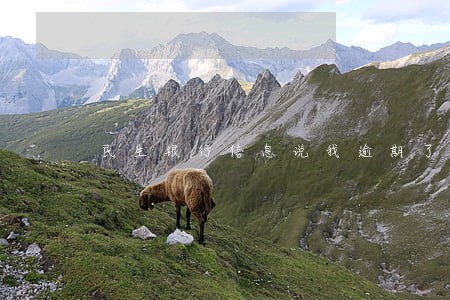 民生银行信息说我逾期了怎么办 民生银行信息说我逾期了怎么办