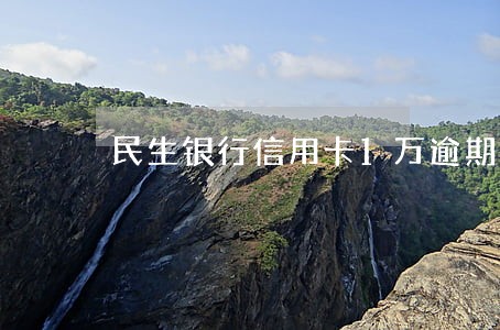 民生银行信用卡1万逾期三个月 民生银行信用卡1万逾期三个月