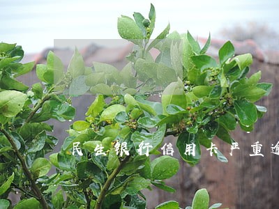 民生银行信用卡严重逾期还款 民生银行信用卡严重逾期还款
