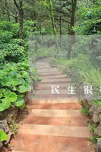民生银行信用卡五万多额度逾期 民生银行信用卡五万多额度逾期