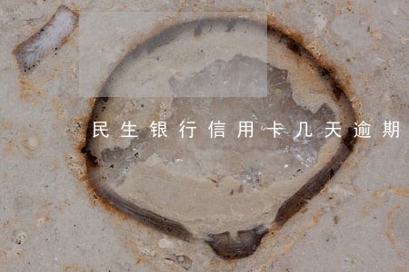 民生银行信用卡几天逾期时间 民生银行信用卡几天逾期时间