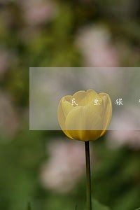 民生银行信用卡分期逾期最新政策 民生银行信用卡分期逾期最新政策