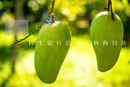 民生银行信用卡协商只还本金 民生银行信用卡协商只还本金