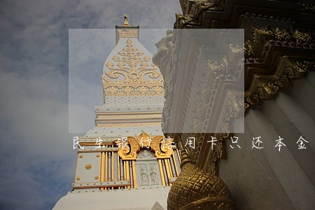 民生银行信用卡只还本金电话 民生银行信用卡只还本金电话