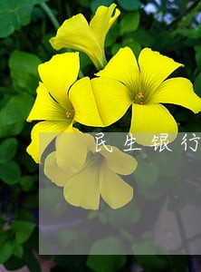 民生银行信用卡因逾期而停卡